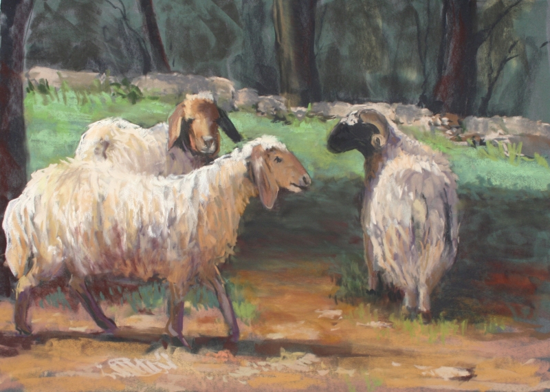 Jordan Sheep by artist Jan Frazier